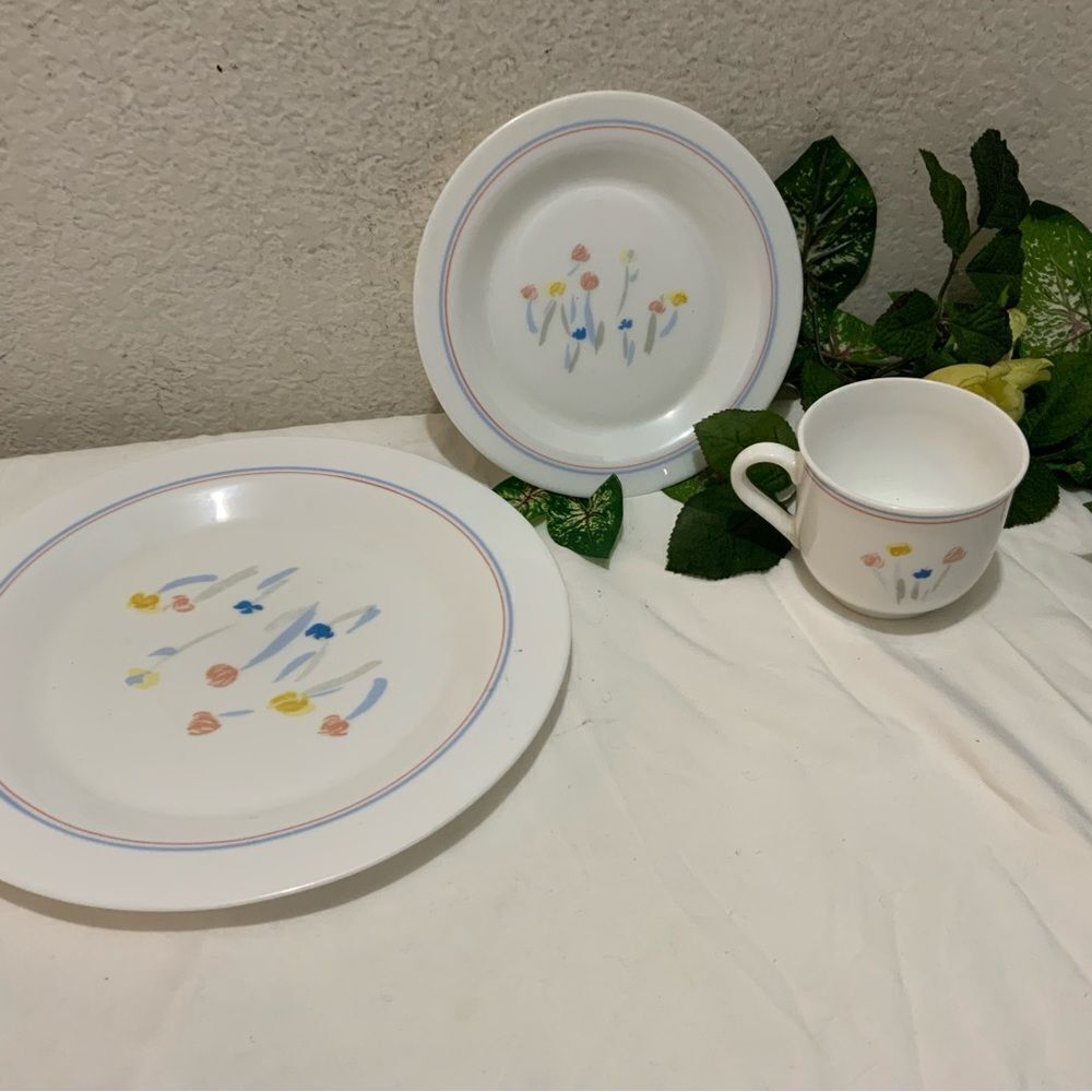 3 Arcopal France dinner salad plates cups White Milk Glass With Flowers Pastoral